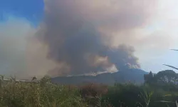 Aydın’daki Orman Yangınını Denetim Altına Alma Çalışmaları Devam Ediyor