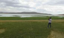 Bu Yıl Kurumayan Akgöl Konuklarını Ağırlamaya Devam Ediyor
