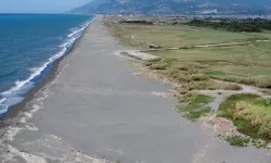 Deniz Kaplumbağalarının Mevte Yürümemesi İçin Erol Öğretmen Nöbette