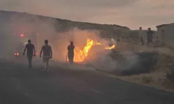 İzmir’in Tire ve Bayındır İlçelerinde Orman Yangını