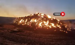 Binlerce Dekar Arazi Kül Oldu