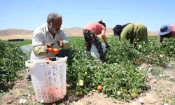 Mevsimlik Personellerin Sıcak Altına Ekmek Uğraşı