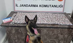 Polis ve Jandarma Hatalıların Ensesinde