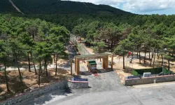 Sultanbeyli’ye Yeni Nefes: Fetih Korusu Açıldı