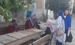 Bayat’ta Ulu Çınarlar Yalnız Bırakılmıyor