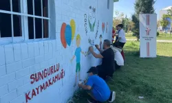 Farkındalık Oluşturmak İçin Duvarları Boyadılar