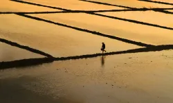 Hisarcıklıoğlu’na Çeltik Teşekkürü