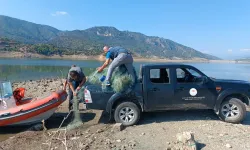 İzinsiz Avcılığa Ceza
