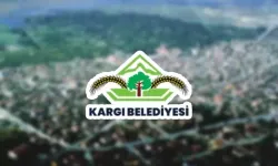 Kargı, Sahipsiz Köpek Sorununa Çözüm Arıyor