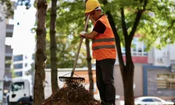 Varinli Caddesindeki Yeşillik Alan Yenileniyor