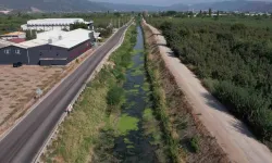 Bursa’da Sulama Kanalları Kurudu, Balık Vefatları Başladı, Şeftali ve Armut Kuruyor