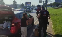 Bursa’da Trafikte Yavru Kedi Alarmı..polisler 4 Araca Giren Kediyi Kurtardı