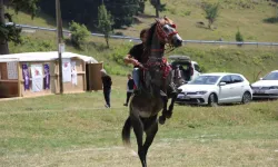 Gökyüzü Müşahede Aktifliği Yapılamayınca İştirakçiler Tabiatın Tadını Çıkardı