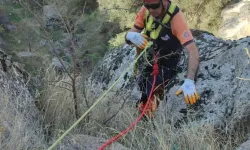 5 Gündür Kayalıklarda Mahsur Kalan Keçi Afad Takımlarınca Kurtarıldı