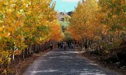 Nemrut Kalderası’nda Sonbahar Hoşluğu