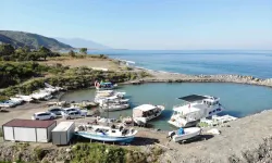 Oltayla Tuttuğu 1 Buçuk Metrelik Devasa Balığı Görünce Gözlerine İnanamadı