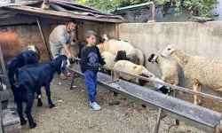 Otomobilini Satarak Hayvancılığa Başlayan Depremzede Baba ve Böbrek Hastası 2 Evladının Umudu Olan 22 Koyunu Polis Takımları Buldu