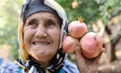 Tescilli Kuytucak Narı Bahçede 20 Lira