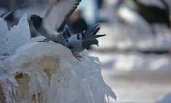 Çorum’da Hava Sıcaklığı Aniden Düşecek