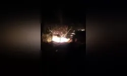 Kuruyan Meyve Ağaçları Tutuştu