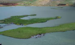 Adıyaman’da Yüzen Adaların Kurtarılması İçin Çalışma Başlatıldı