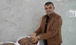 Antep Fıstığına Dubai Çikolatası Tesiri