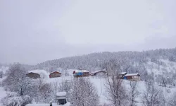 Artvin’de Kar Kalınlığının 1 Metreyi Bulduğu Köyde Gece Gündüz Çatı Temizleniyor