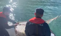 Kastamonu’da Denizden Bin 100 Metre Uzunluğunda Kaçak Ağ Çıkartıldı