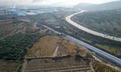 Manisalı Mahallenin Çinli Komşu Heyecanı