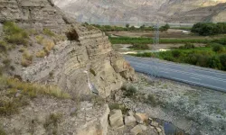 Tortum Gölü Yaban Hayata Mesken Sahipliği Yapıyor