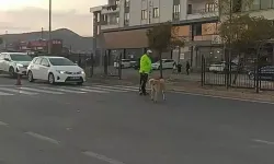 Trafik Polisinden Yürek Isıtan Davranış: Köpeğin Geçmesi İçin Trafiği Durdurdu