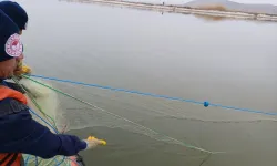 Barajdan Çıkarıldı, Tam 8,6 Kilometre Uzunluğunda