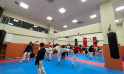 Çorum’da Ücretsiz Tekvando Eğitimi