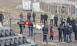Kaz Dövüşü Yaptırırken Suçüstü Yakalandılar