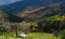 Şehir Dışında Yaşayan Kargılılara Çağrı