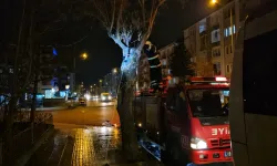 Yanmaya Başlayan Ağaca Zamanında Müdahale