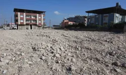 Ağır Hasarlı Binaya Asansörlü Nakliye Aracıyla Çıkıp, Yavru Köpeği Kurtardı: O Anlar Kamerada