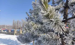 Ardahan’da Sibirya Soğukları