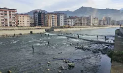 Artvin’de Fırtına Somon Kafesini Parçaladı, Vatandaşlar Dereye Akın Etti