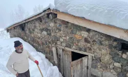 Artvin’in Bıçakçılar Köyünde Kış Zorluklarla Geçiyor: Kar Kalınlığı 3 Metreyi Aştı