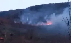 Bolu’daki Örtü Yangını Denetim Altına Alındı