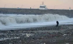 Dalgalara Aldırmadan Kıyıda Gezindiler