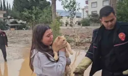 Kolda Mahsur Kalan Kedisi Kurtarılınca Sevinçten Gözyaşı Döktü