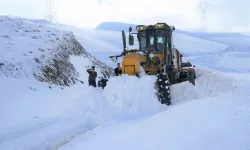 Muş’ta 210 Köy Yolu Ulaşıma Kapandı