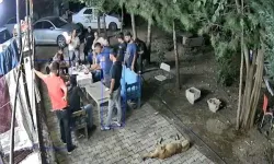 Narin Güran Cinayetinde "Aile Bireylerinin Toplantı Görüntüsü" ile İlgili Hazırlanan Eksper Raporu Mahkemeye Sunuldu