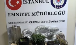 Sultangazi’de Uyuşturucu Operasyonu: 1 Gözaltı