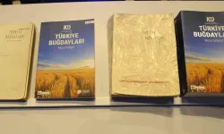 Türk Buğdayları Kitabı Tarım Dünyasıyla Tekrar Buluştu