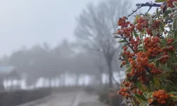 Sungurlu’da Soğuk Hava Etkili Oluyor