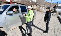 Beytüşşebap’ta Bayan Polisler İlçe Giriş ve Çıkışlarında Rutin Denetimler Yaparak Asayişi Sağlıyor