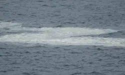 Çanakkale Boğazı’nda Müsilaj Devam Ediyor